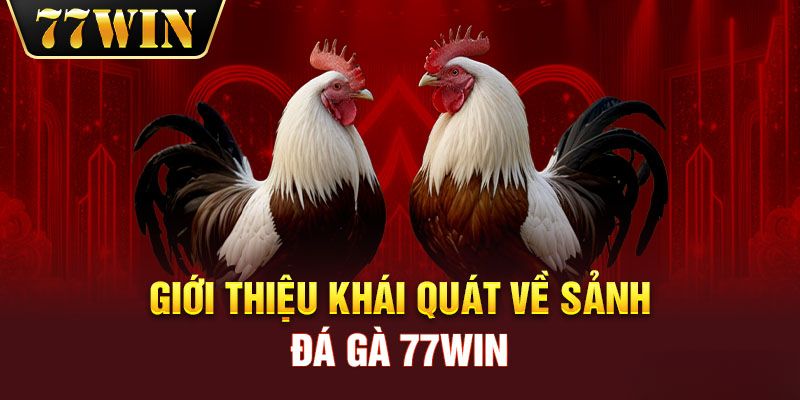 Giới thiệu về đá gà 77WIN