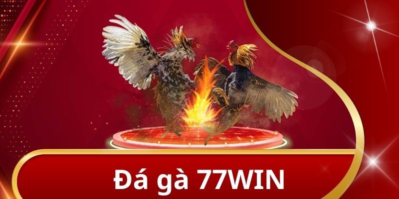 Một số loại hình cá cược đá gà 77WIN hấp dẫn